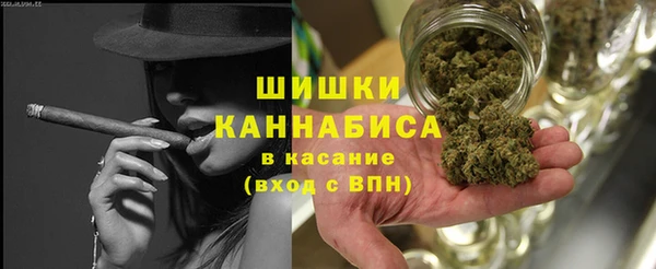 гашик Белокуриха