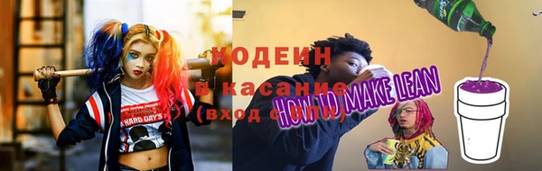 гашик Белокуриха