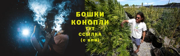 сатива Богданович