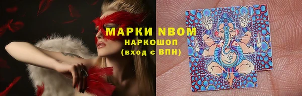 сатива Богданович
