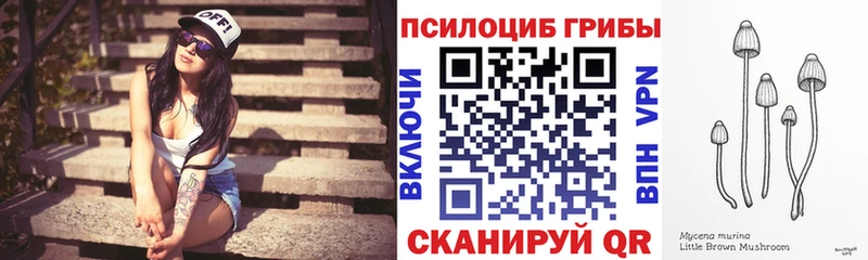 хочу наркоту  Буйнакск  Псилоцибиновые грибы мухоморы 