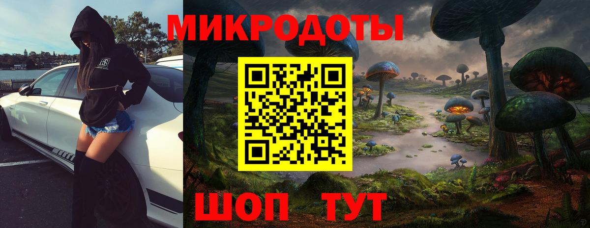 Буйнакск  Псилоцибиновые грибы Psilocybine cubensis  Вход с VPN 