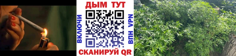 где найти наркотики Буйнакск Канабис планчик